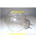 LAMPE 2000W 220V CP20
