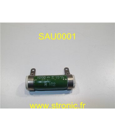 RESISTANCE SAUTHY         R102