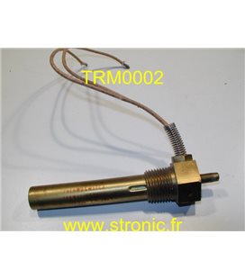 THERMOSWITCH             17100