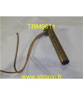 THERMOSWITCH             17200